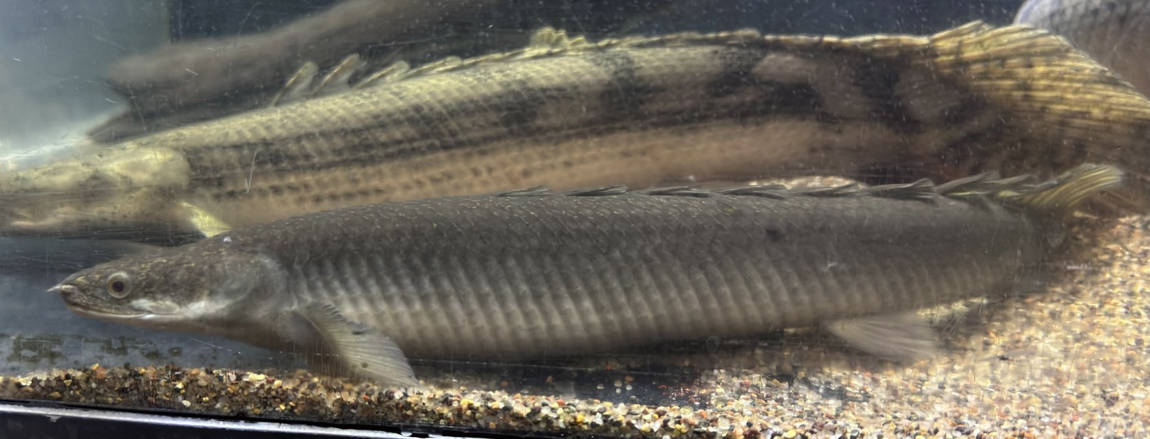 IMG_5256.jpeg IMG_5256.jpeg