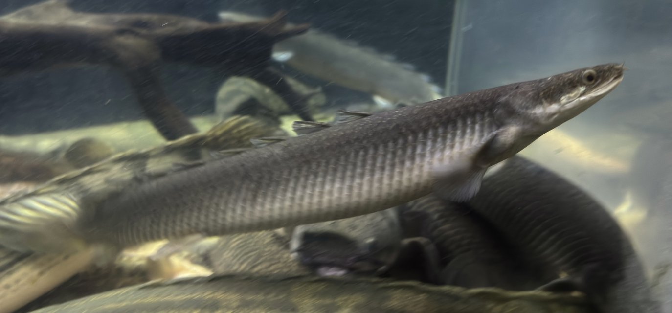 IMG_5242.jpeg IMG_5242.jpeg