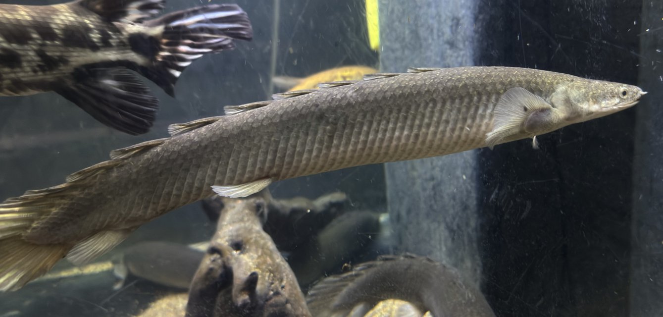 IMG_5238.jpeg IMG_5238.jpeg