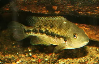 1770649791158.png 1770649791158.png