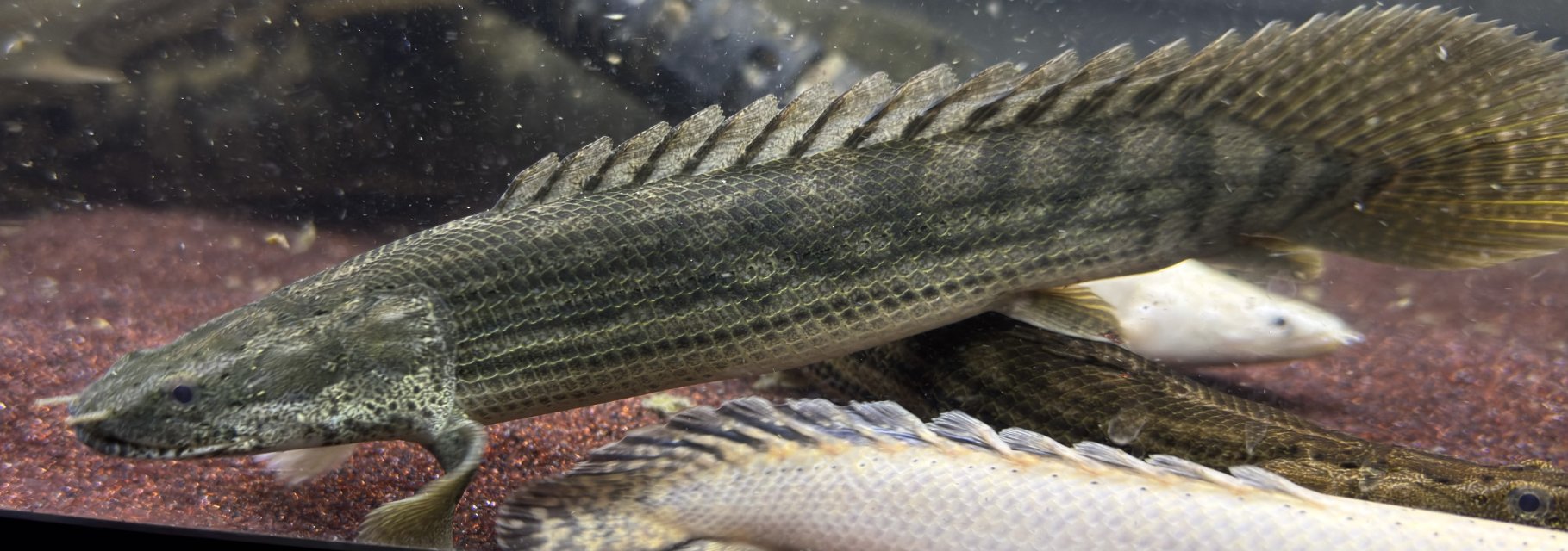 IMG_5812.jpeg IMG_5812.jpeg