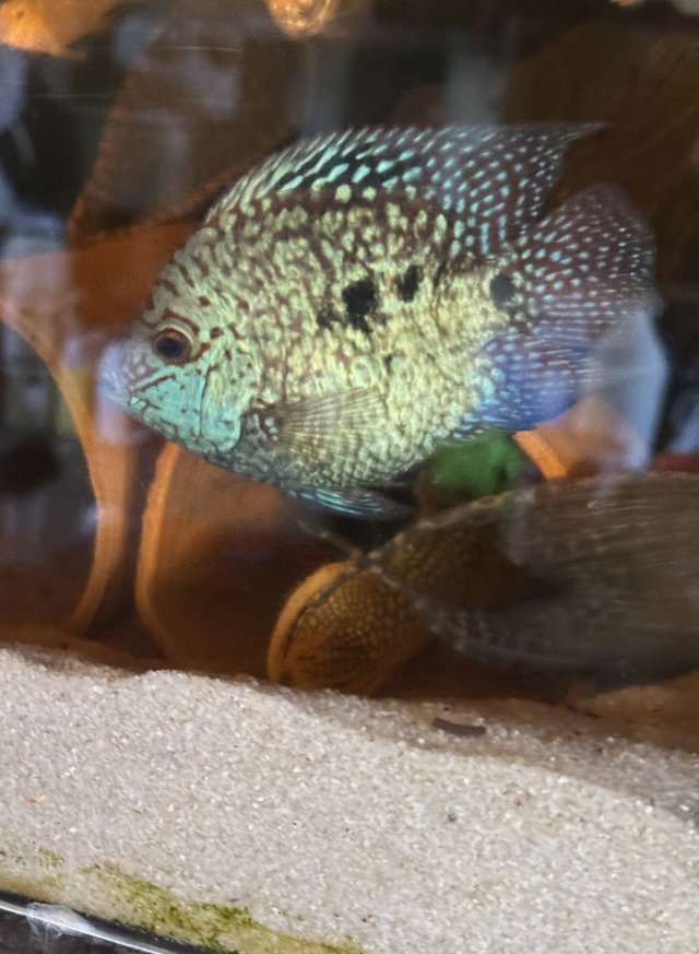 IMG_9372.jpeg IMG_9372.jpeg