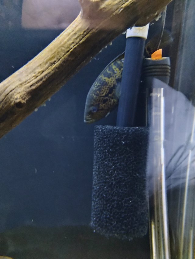 1000000667.jpg 1000000667.jpg