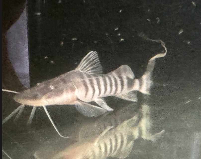 IMG_9417.jpeg IMG_9417.jpeg