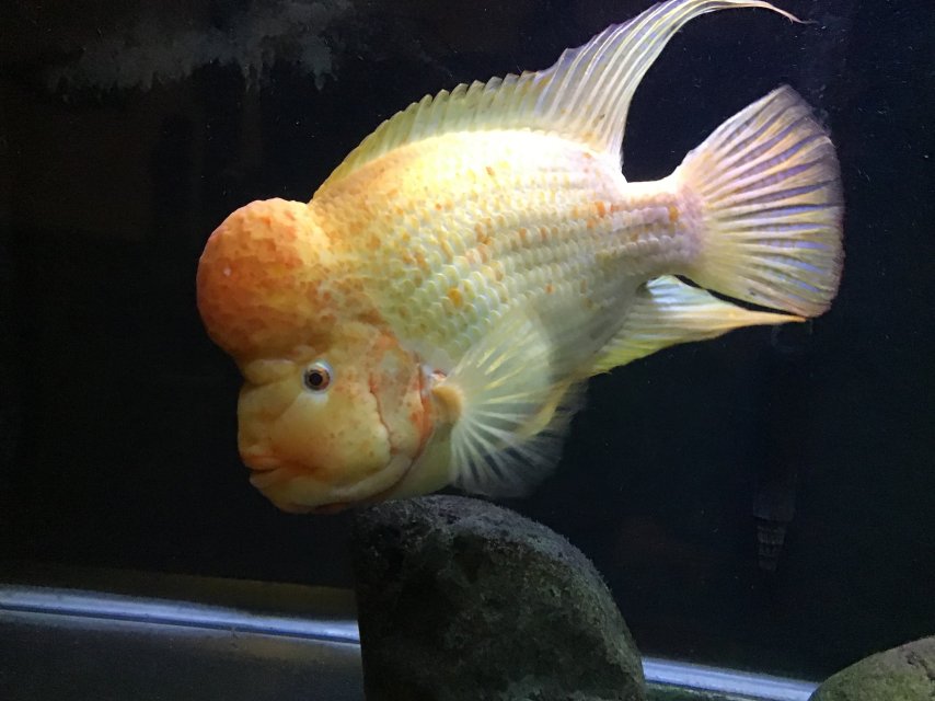 IMG_0110.jpeg IMG_0110.jpeg