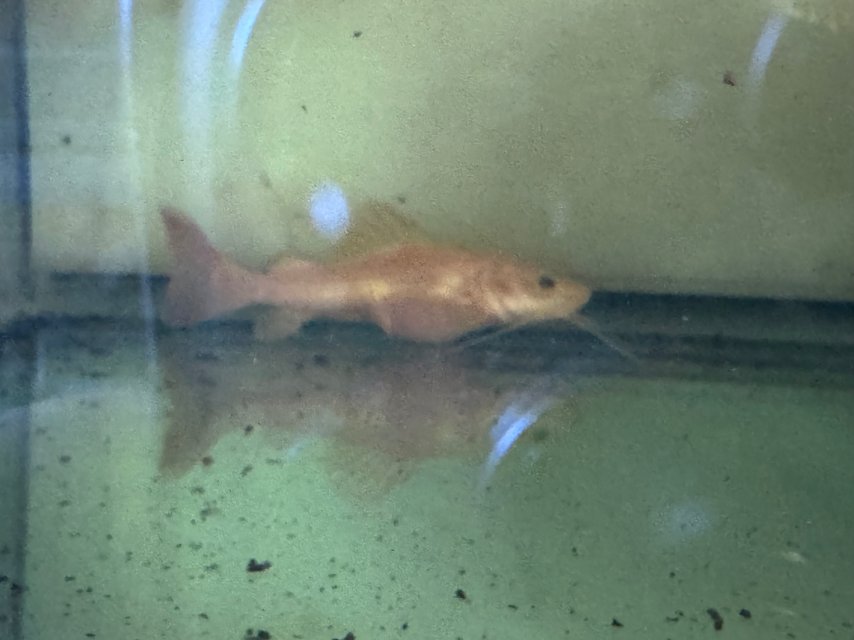 IMG_9354.jpeg IMG_9354.jpeg