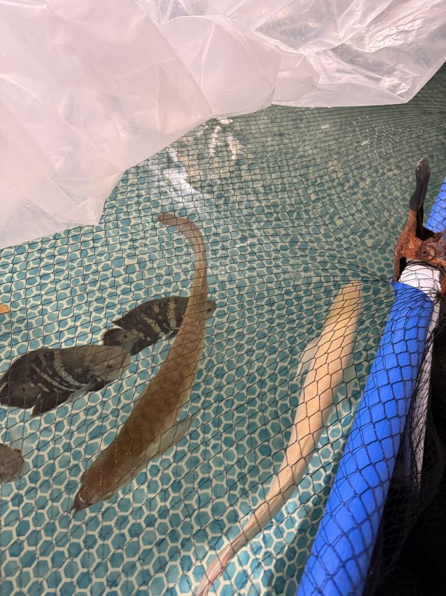 IMG_3314.jpeg IMG_3314.jpeg