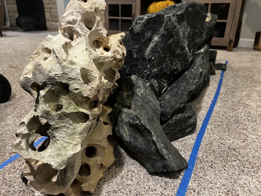 IMG_0725.jpeg IMG_0725.jpeg