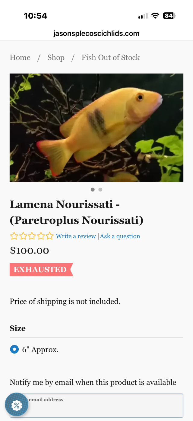 IMG_6931.png IMG_6931.png