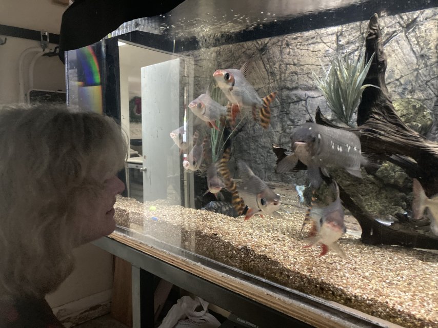 IMG_6276.jpeg IMG_6276.jpeg