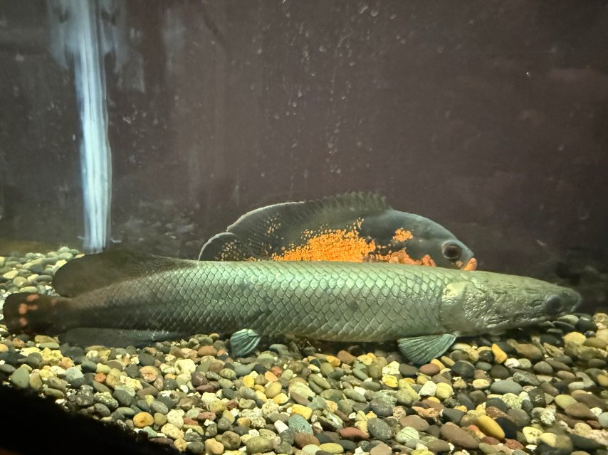 IMG_2579.jpeg IMG_2579.jpeg