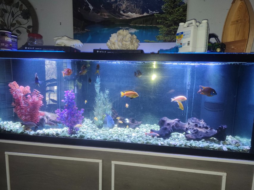 1000001753.jpg 1000001753.jpg