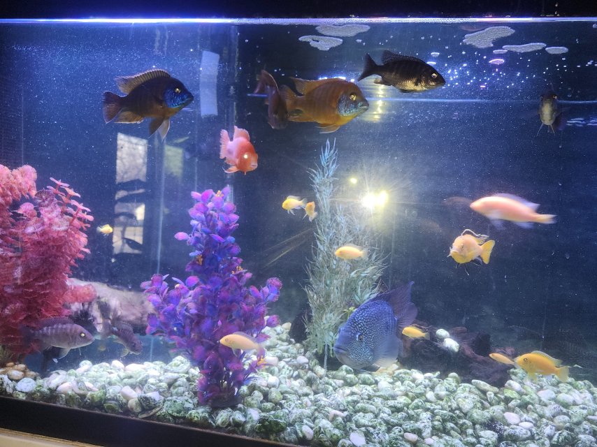 1000001754.jpg 1000001754.jpg