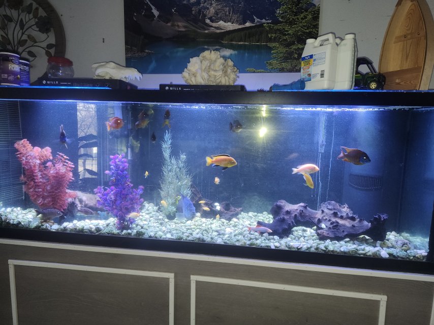 1000001753.jpg 1000001753.jpg