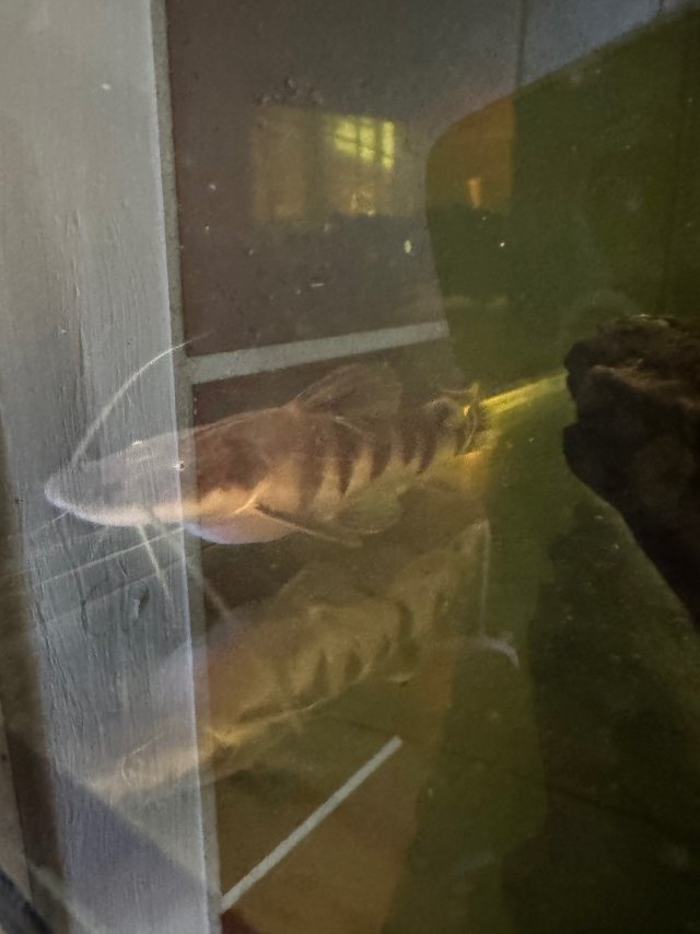 IMG_9456.jpeg IMG_9456.jpeg