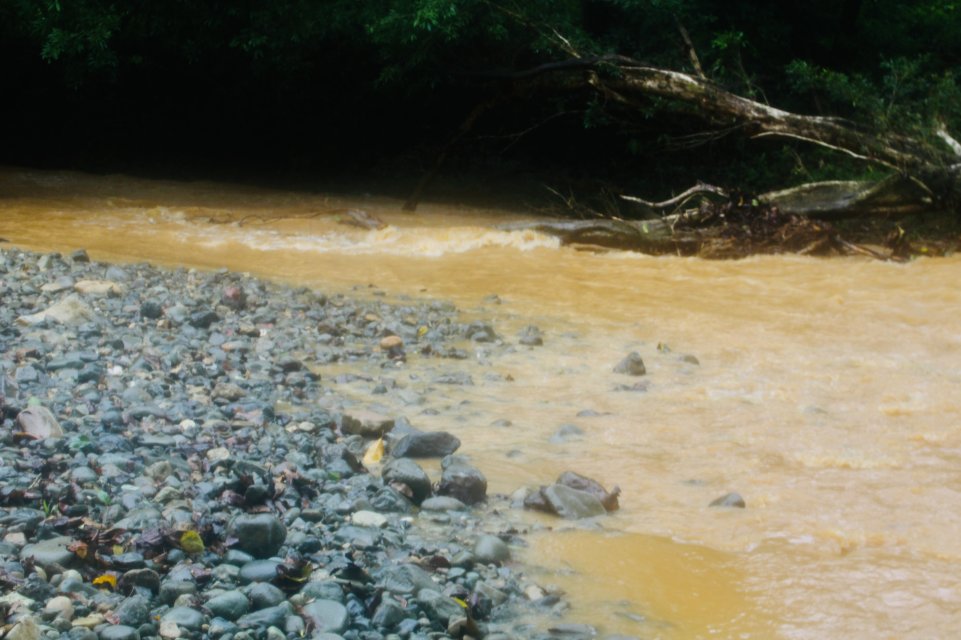 IMG_1460.jpeg IMG_1460.jpeg