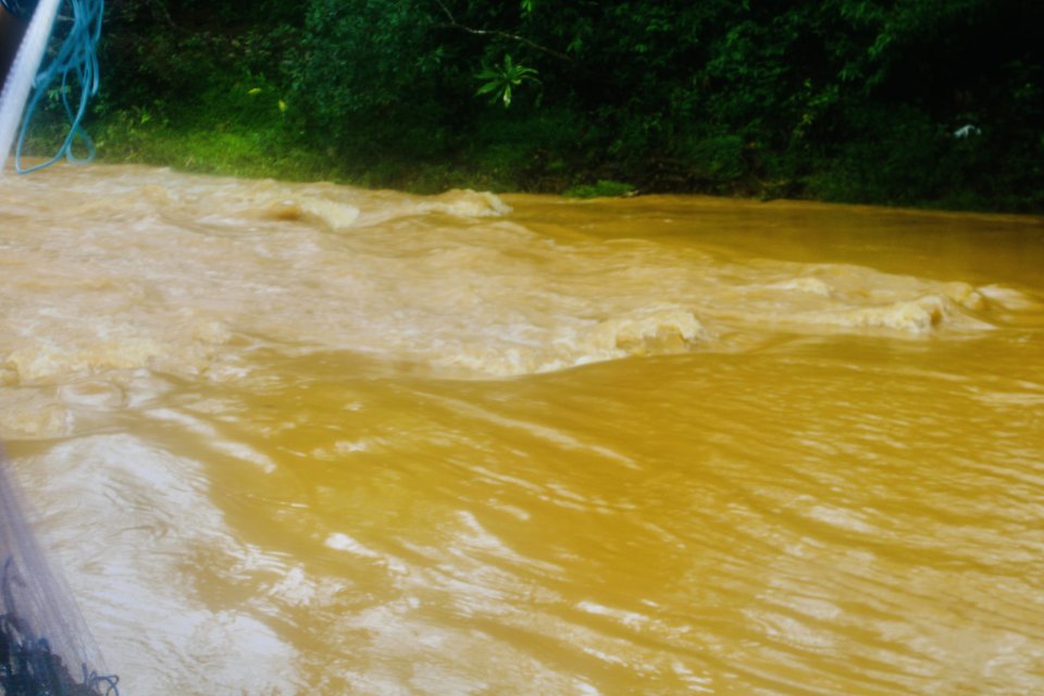 IMG_1459.jpeg IMG_1459.jpeg