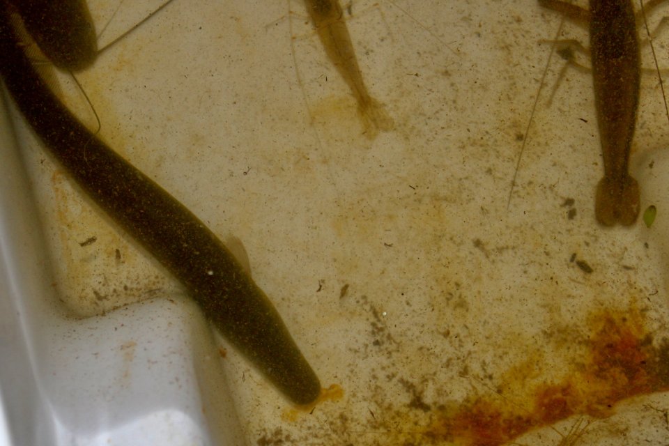 IMG_1464.jpeg IMG_1464.jpeg