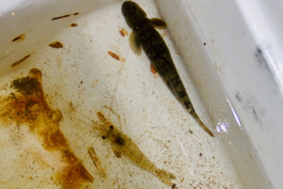 IMG_1461.jpeg IMG_1461.jpeg