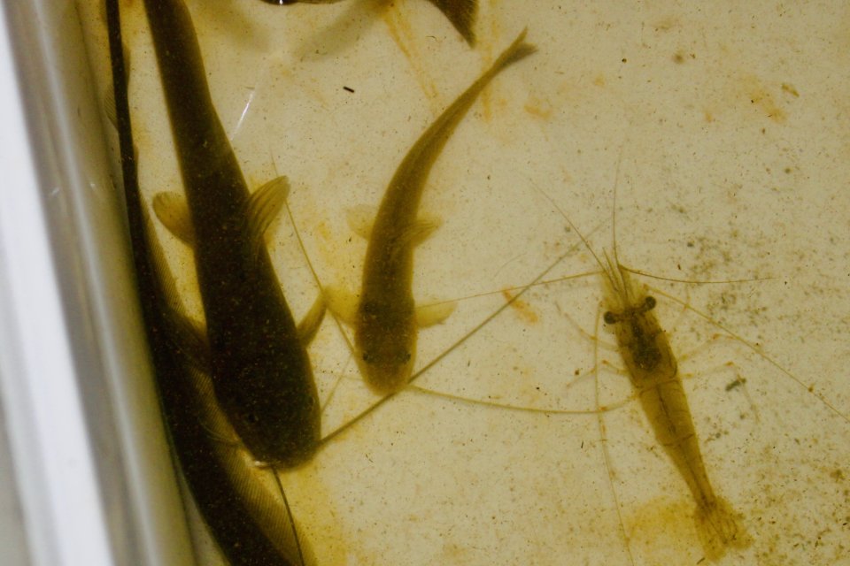 IMG_1465.jpeg IMG_1465.jpeg