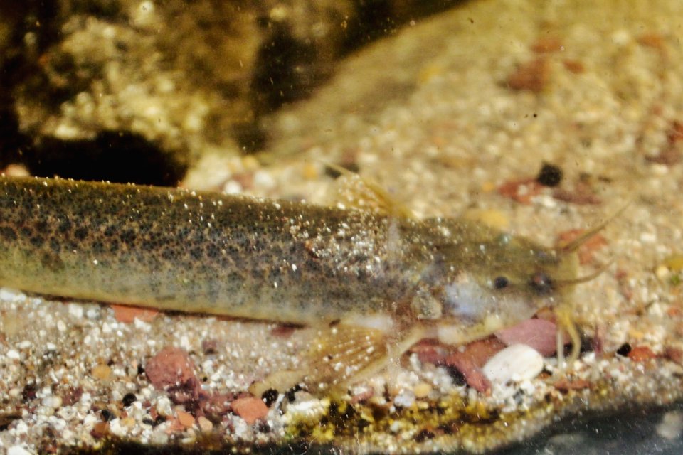 IMG_1468.jpeg IMG_1468.jpeg