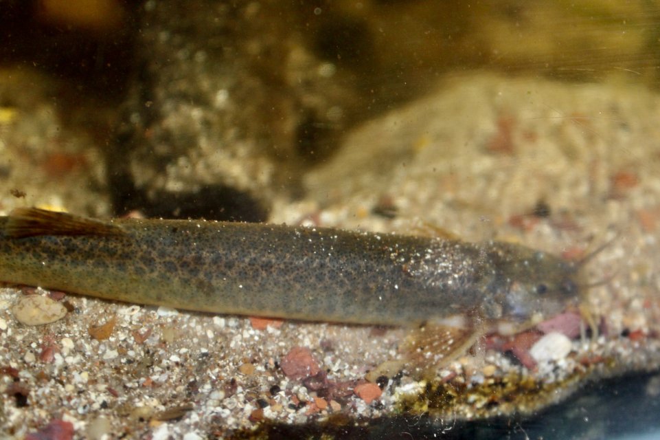 IMG_1473.jpeg IMG_1473.jpeg