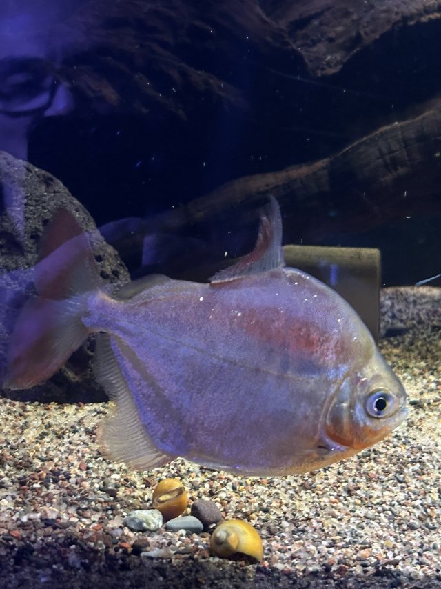 IMG_8857.jpeg IMG_8857.jpeg