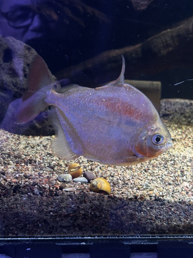 IMG_8856.jpeg IMG_8856.jpeg