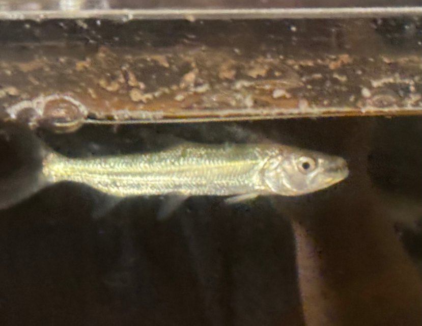 IMG_9470.jpeg IMG_9470.jpeg