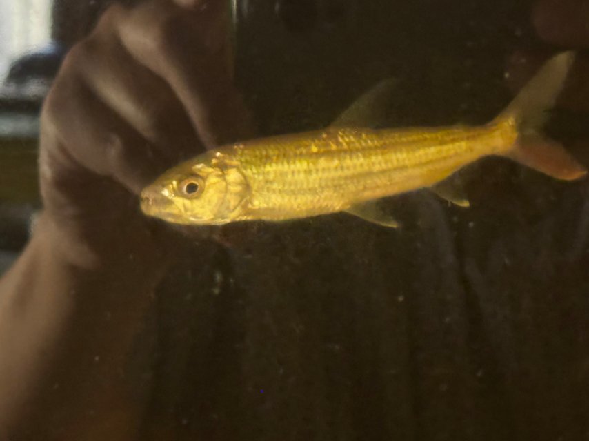 IMG_9476.jpeg IMG_9476.jpeg