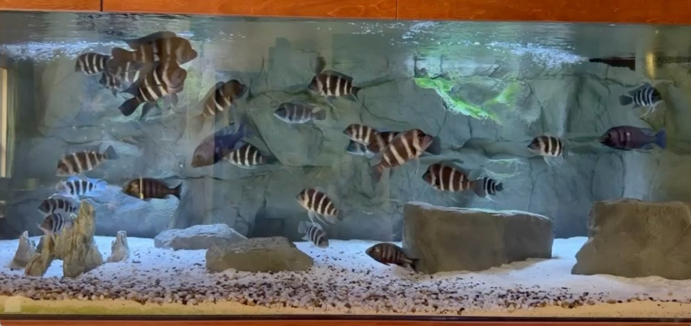 Feeding time FEB2026.jpg