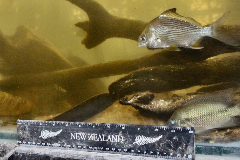 IMG_1774.jpeg IMG_1774.jpeg