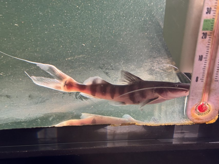 IMG_9517.jpeg IMG_9517.jpeg