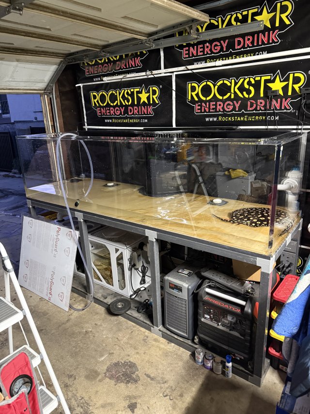 IMG_7174.jpeg IMG_7174.jpeg