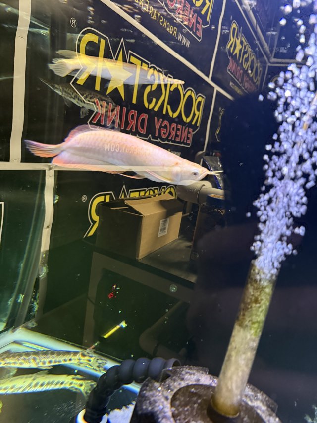 IMG_7189.jpeg IMG_7189.jpeg