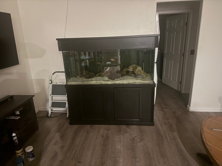 100 gallon 2.jpg 100 gallon 2.jpg