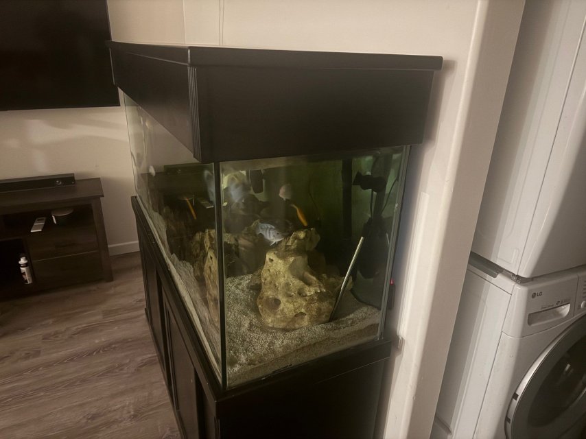 100 gallon.jpg 100 gallon.jpg