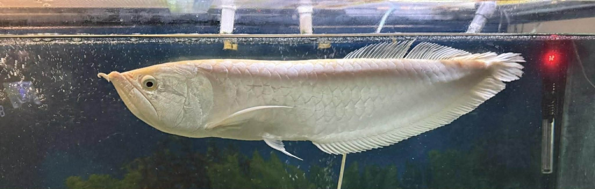 878e93dd-01a6-44da-9fab-0e124cd1c661.jpg 878e93dd-01a6-44da-9fab-0e124cd1c661.jpg