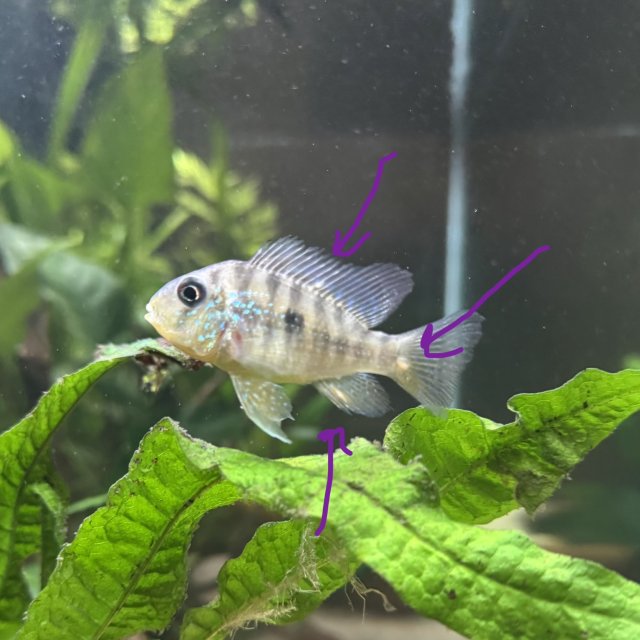 IMG_8679.jpg IMG_8679.jpg