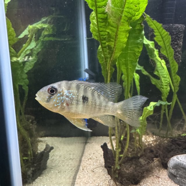 IMG_8684.jpg IMG_8684.jpg