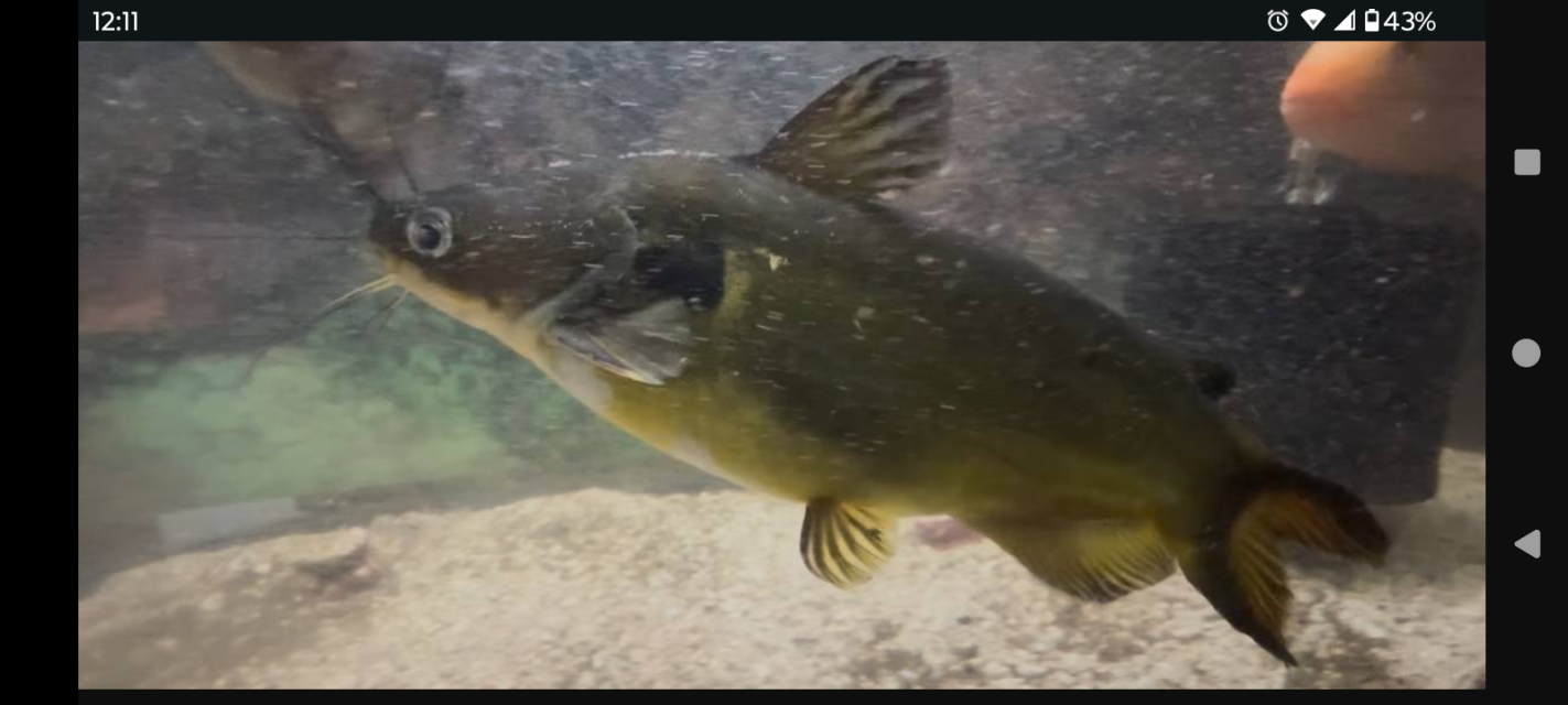 1000006373.png 1000006373.png