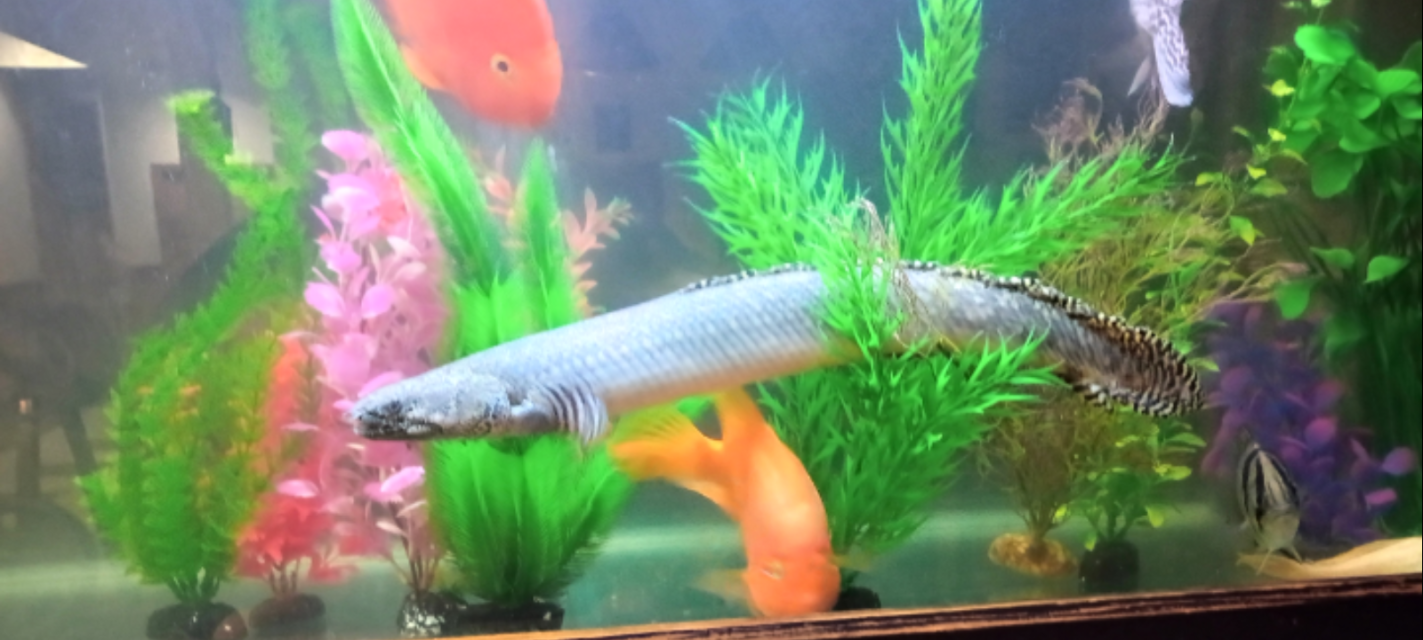 1000006276.png 1000006276.png