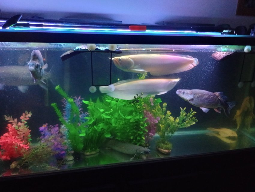 1000006254.jpg 1000006254.jpg