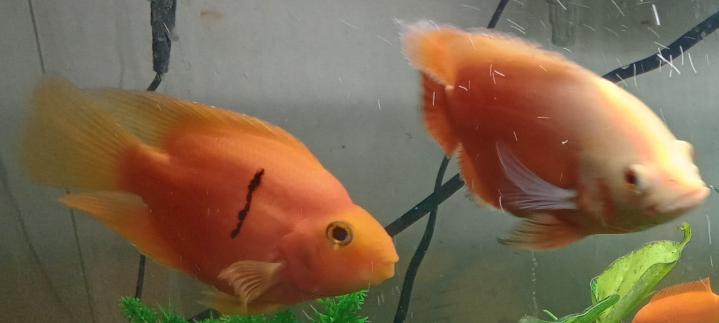 1000006416.png 1000006416.png