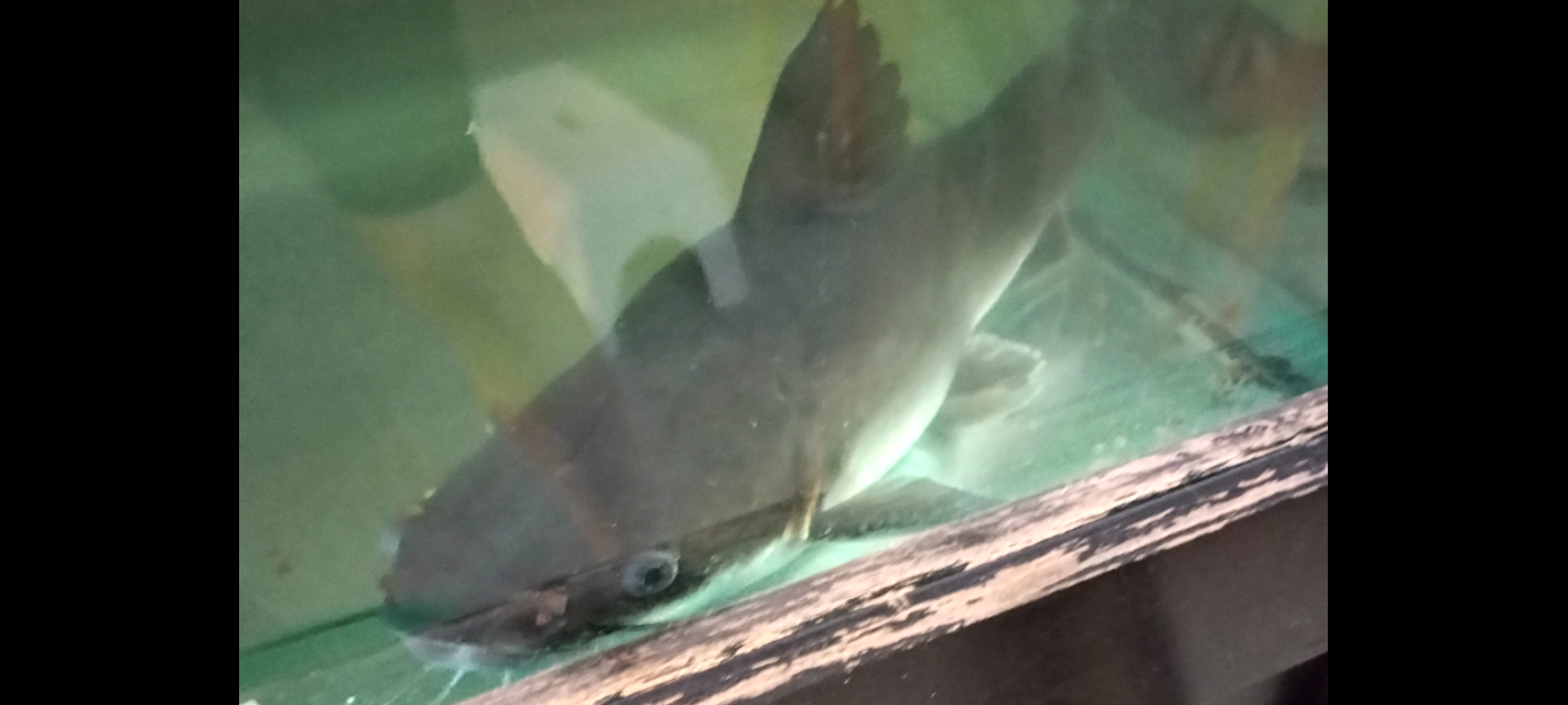 1000006460.png 1000006460.png