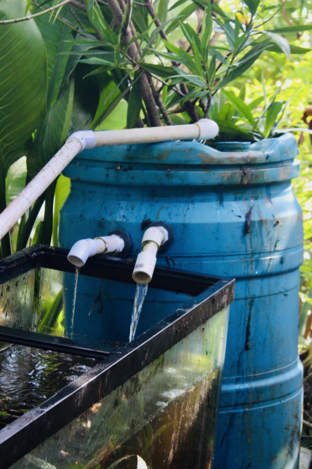 IMG_1933.jpeg IMG_1933.jpeg