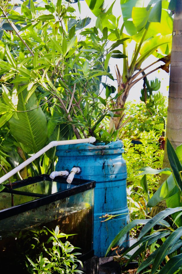 IMG_1934.jpeg IMG_1934.jpeg