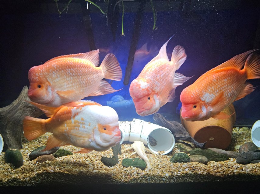 1000158570.jpg 1000158570.jpg