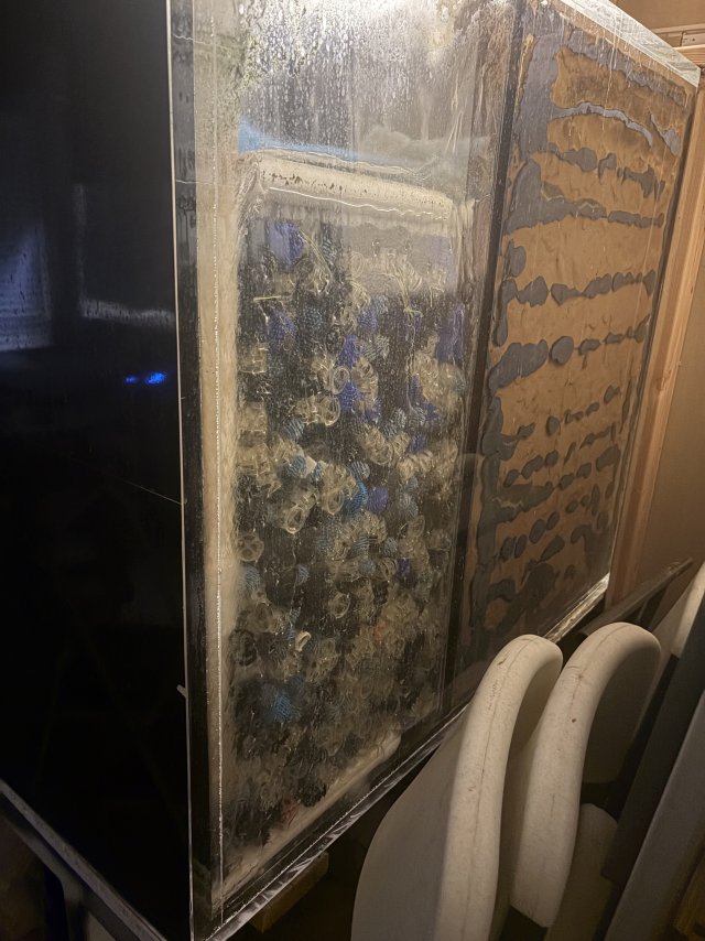 IMG_6470.jpeg IMG_6470.jpeg