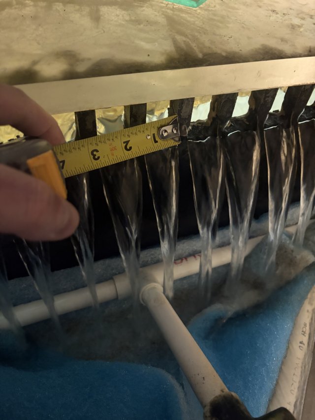 IMG_6464.jpeg IMG_6464.jpeg